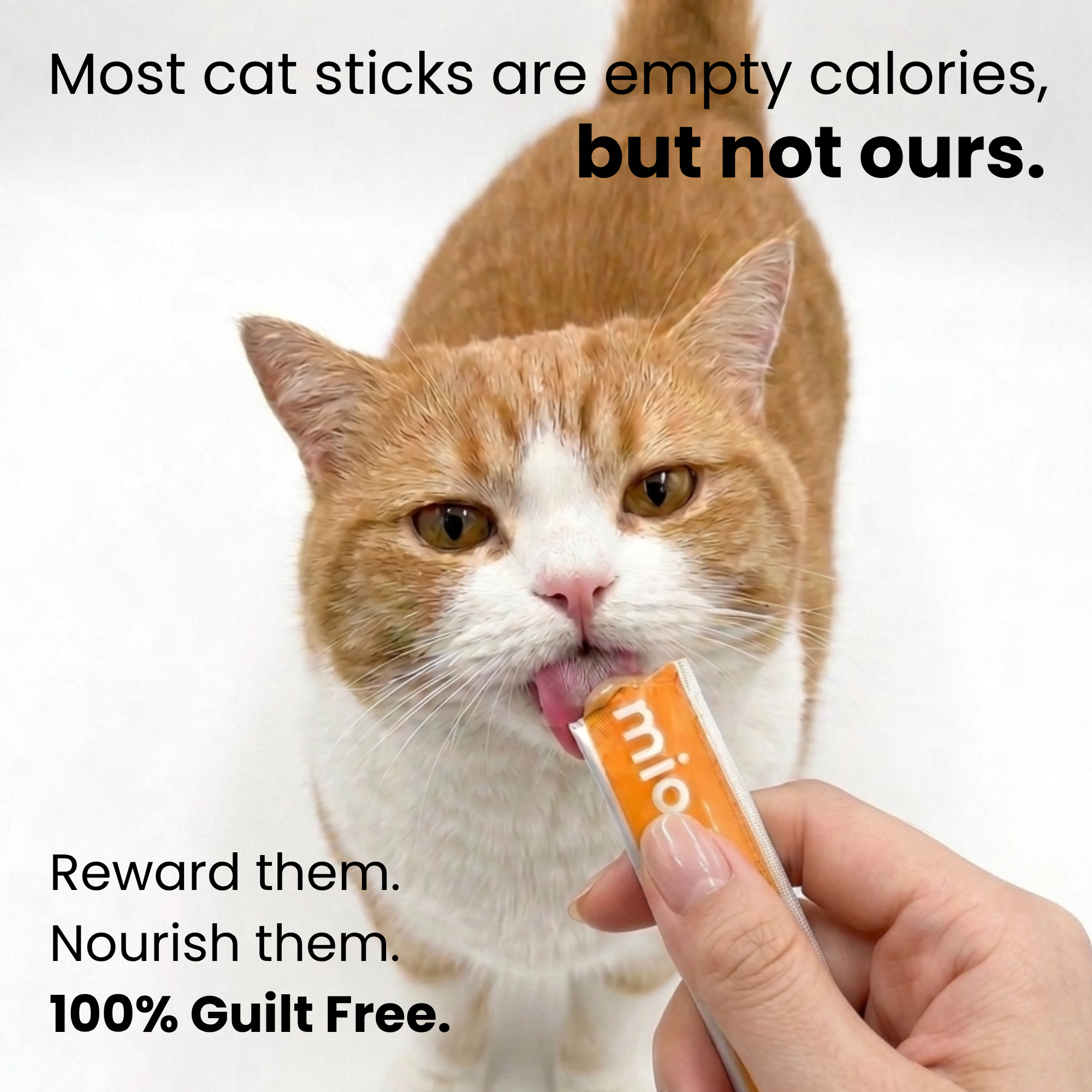 Triple Omega Cat Licks