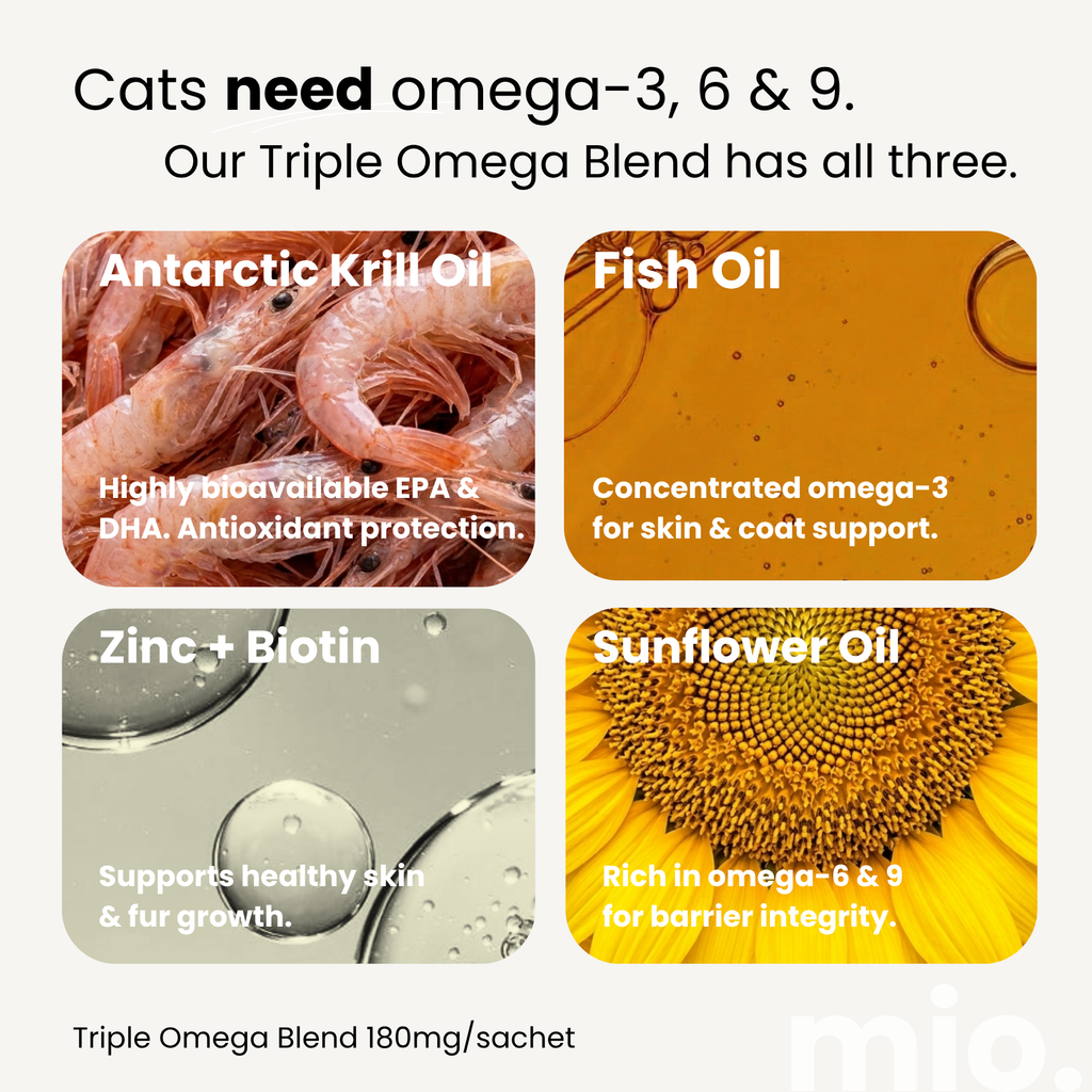 Triple Omega Cat Licks