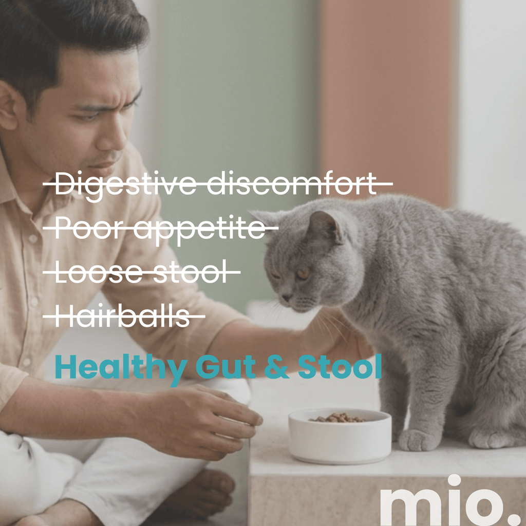 Pre+ Postbiotic Cat Licks