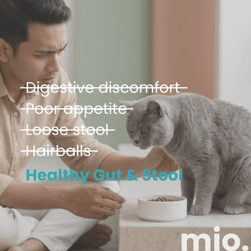 Pre+ Postbiotic Cat Licks