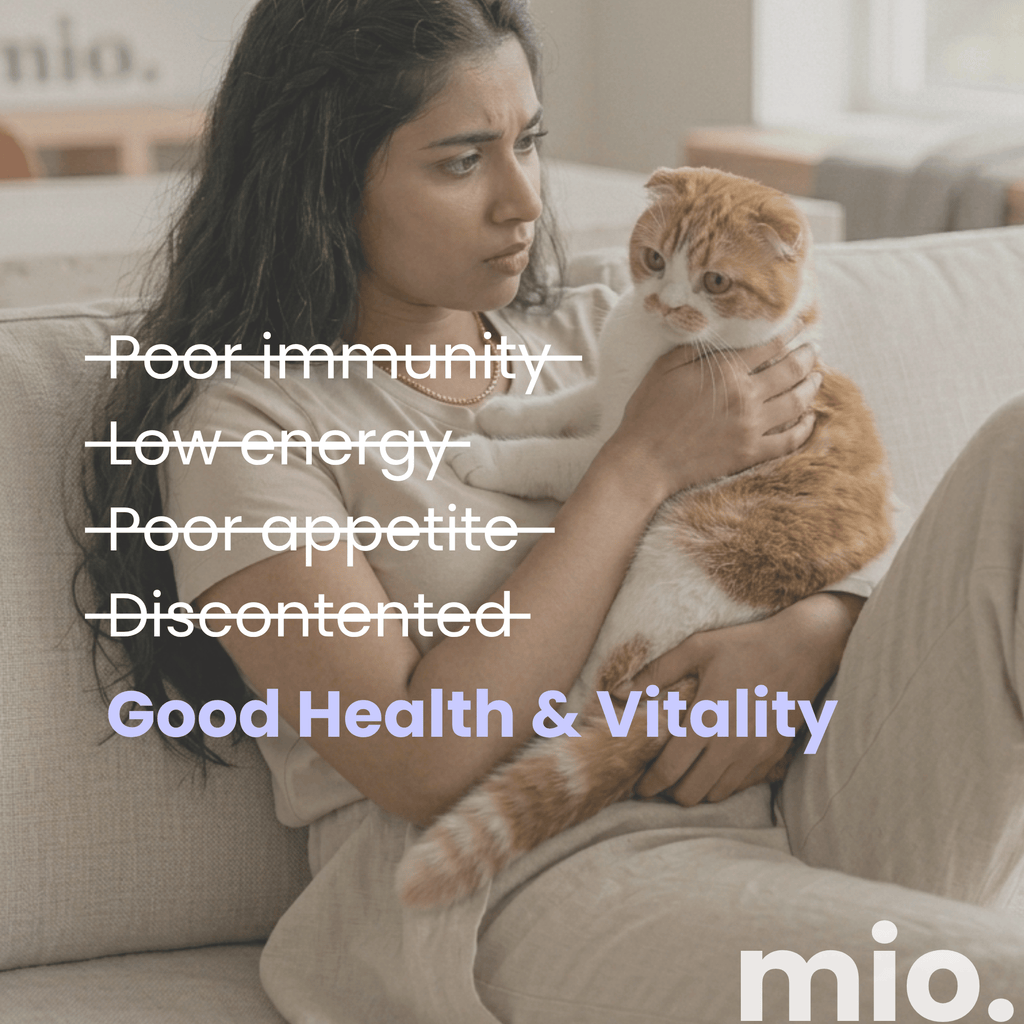 Multivitamin & Beta-Glucan Cat Licks