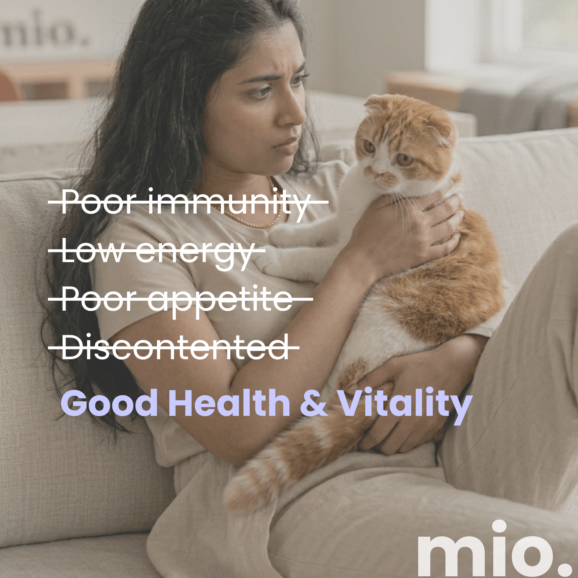 Multivitamin & Beta-Glucan Cat Licks