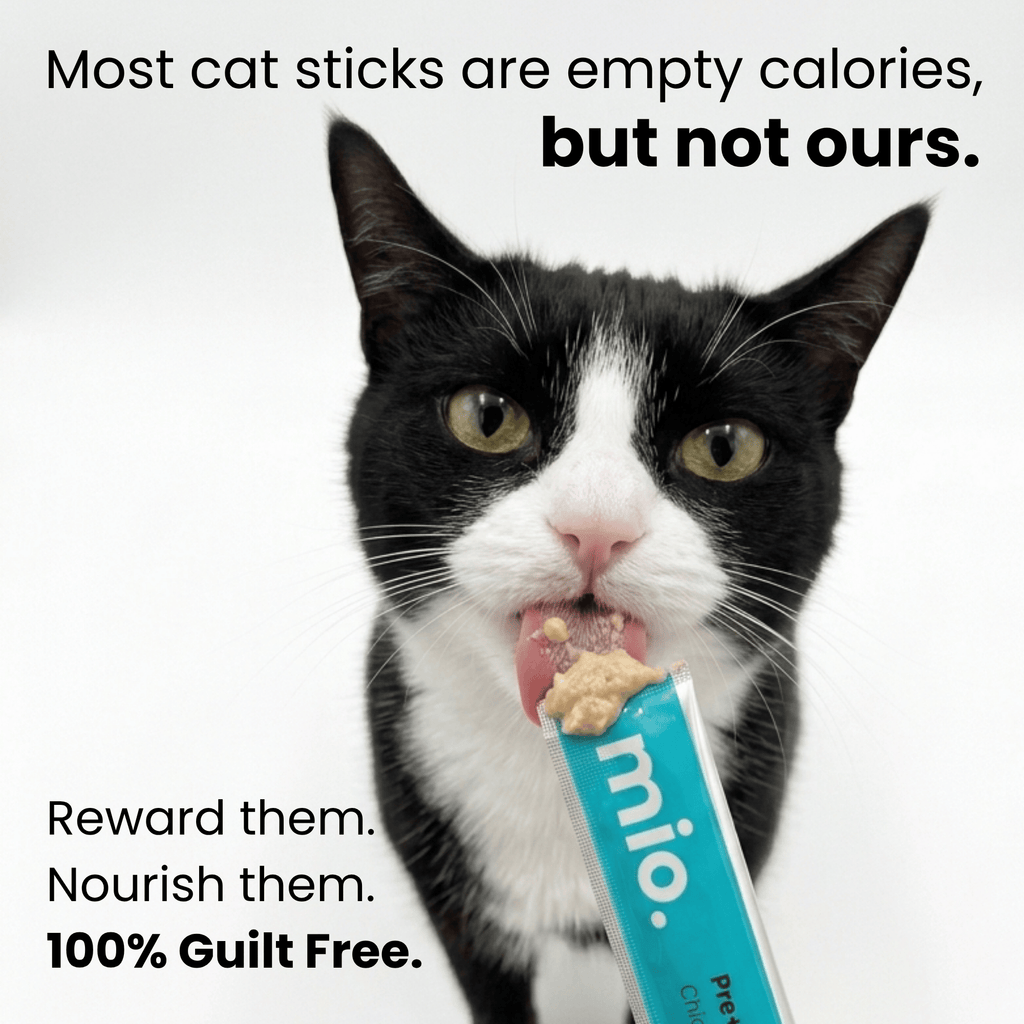 Trial Bundle Cat Licks