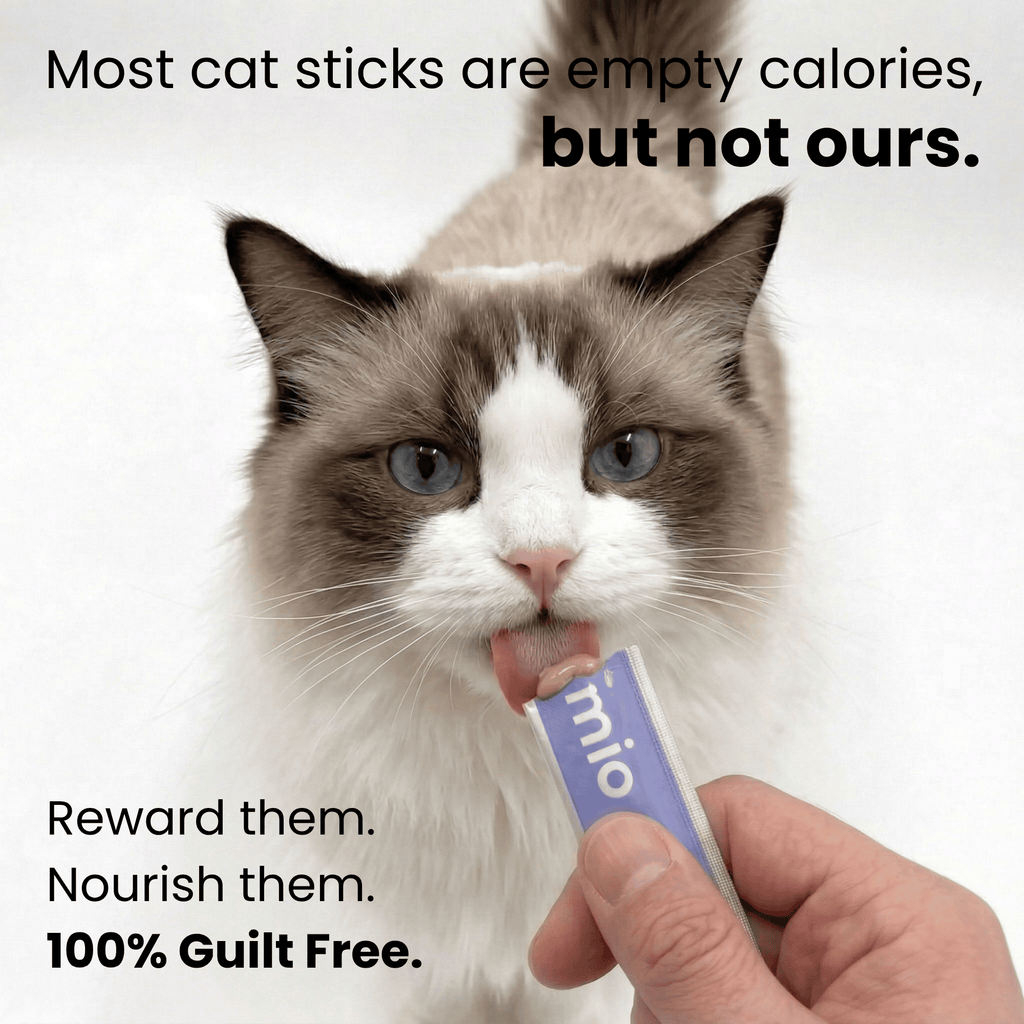 Multivitamin & Beta-Glucan Cat Licks