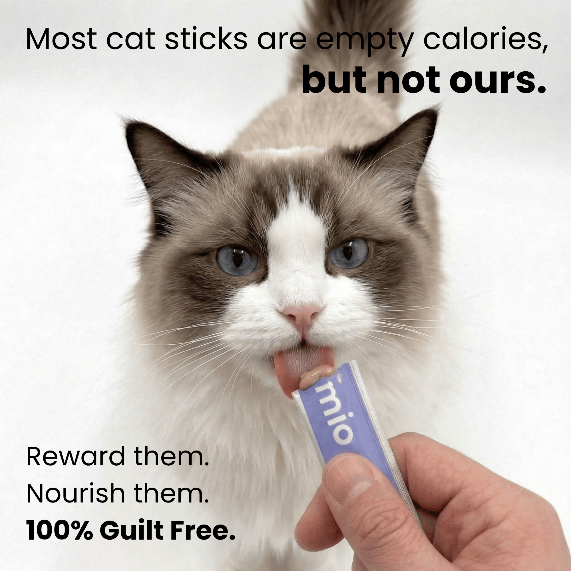 Multivitamin & Beta-Glucan Cat Licks
